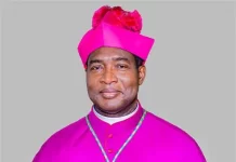 Bishop Louis Calls Faithful to Humility, Mission and Renewal at St. Francis of Assisi